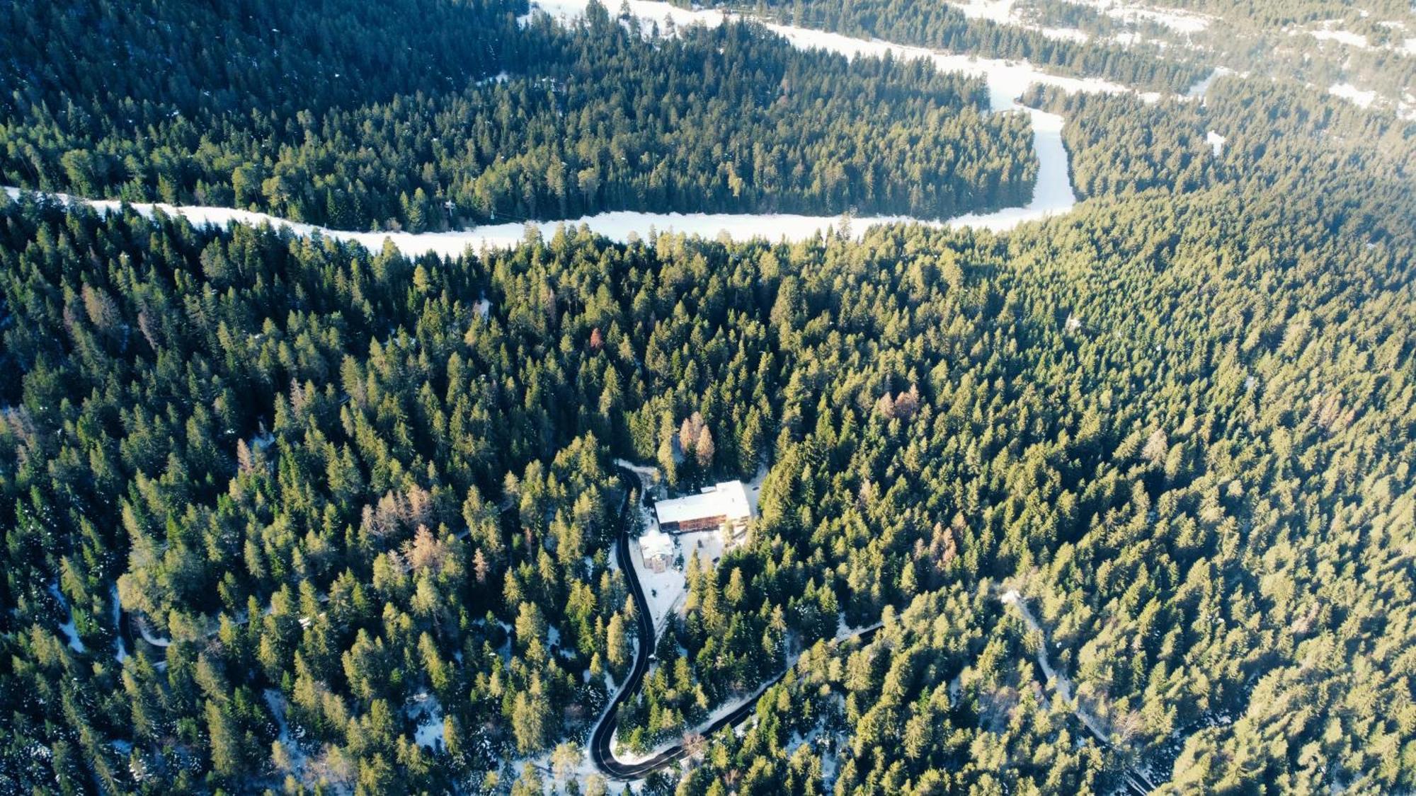 Ski Hotel Katerina 반스코 외부 사진